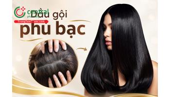 Mách bạn 5 loại dầu gội phủ bạc được yêu thích