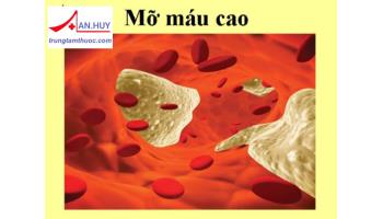 Nguyên nhân và hậu quả của mỡ máu cao (Rối loạn Lipid máu)