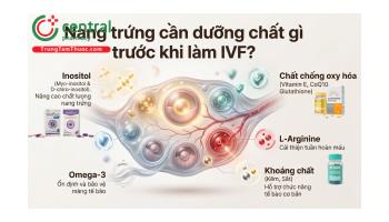 Nang trứng cần dưỡng chất gì trước khi làm IVF? Góc nhìn từ khoa học