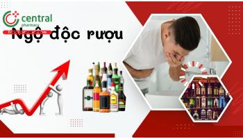 Ngộ độc rượu: Nguyên nhân, triệu chứng, phác đồ điều trị của Bộ Y Tế