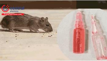 Cảnh báo ngộ độc cấp thuốc diệt chuột loại muối Natri fluoroacetat và fluoroacetamid