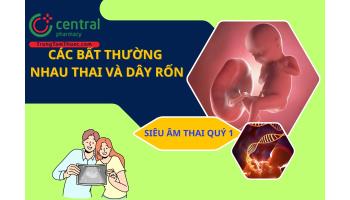 Tìm hiểu các bất thường nhau thai và dây rốn trong siêu âm thai quý 1