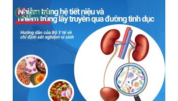 Nhiễm trùng hệ tiết niệu và nhiễm trùng lây truyền qua đường tình dục - Hướng dẫn của Bộ Y tế về chỉ định xét nghiệm vi sinh