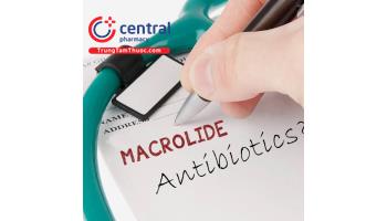Nhóm kháng sinh macrolid: những điều cần biết từ A - Z
