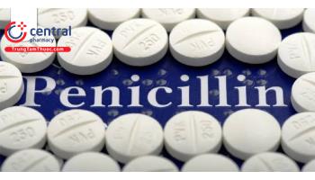 Nhóm kháng sinh Penicillin: Những điều cần biết từ A-Z