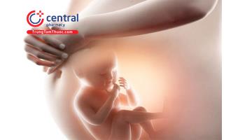 Những thay đổi về sinh lý và nội tiết tố của người mẹ trong từng giai đoạn thai kỳ