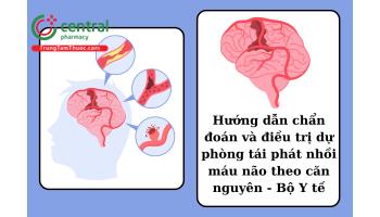 Hướng dẫn chẩn đoán và điều trị dự phòng tái phát nhồi máu não theo căn nguyên - Bộ Y tế