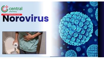 Norovirus gây bệnh gì, có nguy hiểm không và lây qua đường nào?