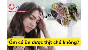 Người ốm có ăn được thịt chó không? Bị bệnh gì không nên ăn thịt chó?