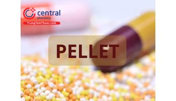 Pellet là gì? 5 Cách phân loại và đặc tính của Pellet
