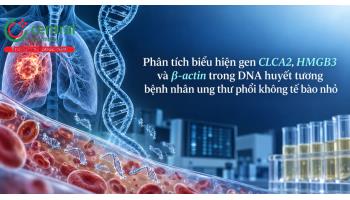 Phân tích biểu hiện gen CLCA2, HMGB3 và β-actin trong DNA huyết tương bệnh nhân ung thư phổi không tế bào nhỏ