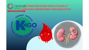 Hướng dẫn KDIGO 2026 về quản lý thiếu máu trong bệnh thận mạn (CKD)