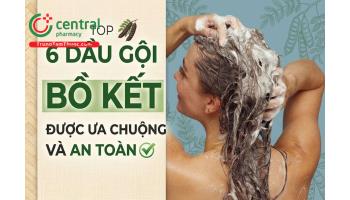 [REVIEW] Chỉ bạn 6 dầu gội bồ kết được ưa chuộng và an toàn