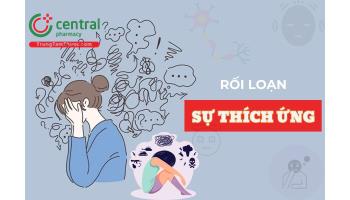 Rối loạn sự thích ứng là gì? Cách phân biệt với bệnh trầm cảm và stress nghiêm trọng