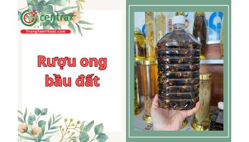 Rượu ong bầu đất - có thực sự tốt cho sức khỏe như lời đồn?