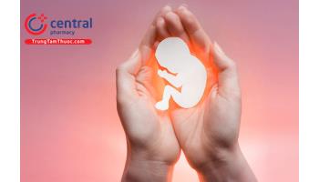 Sẩy thai liên tiếp: Nguyên nhân và khả năng dự phòng