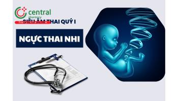 Siêu âm đánh giá ngực thai nhi trong quý 1