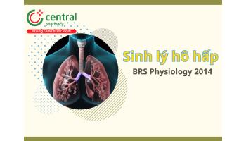 Sinh lý hô hấp: Chức năng, hoạt động và các đáp ứng phối hợp của hệ hô hấp - BRS Physiology Linda Costanzo 2014