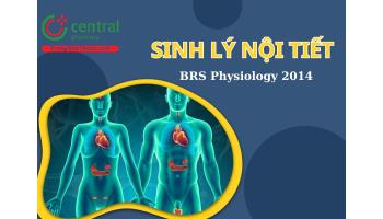 Sinh lý nội tiết: Hoạt động và chức năng của hệ nội tiết - BRS Physiology Linda Costanzo 2014
