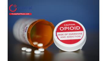 Người cao tuổi nên dùng thuốc giảm đau Opioid thế nào cho an toàn và hiệu quả?