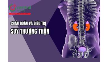 CHẨN ĐOÁN VÀ ĐIỀU TRỊ SUY THƯỢNG THẬN DO GLUCOCORTICOID THEO HỘI NỘI TIẾT CHÂU ÂU (ESE) 2024