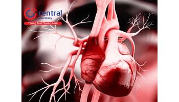 Suy tim cấp tính: Dấu hiệu nhận biết và điều trị