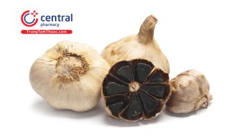 Tác dụng của Tỏi đen, cao khô Tỏi đen trong HT Strokend