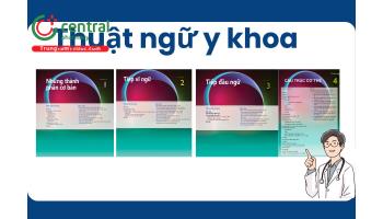 Tải Free sách Thuật ngữ Y Khoa - Giáo trình chuyên ngành Y khoa