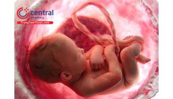 Thai chậm phát triển trong tử cung và những điều cần biết