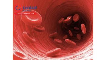 Thiếu máu ở bệnh nhân mắc bệnh thân mạn tính: nguyên nhân và điều trị