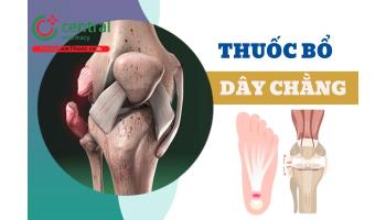 Thuốc bổ dây chằng giải pháp trong phục hồi tổn thương khớp, nuôi dưỡng gân cơ