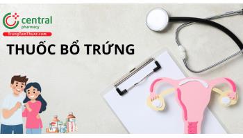 Thuốc bổ trứng tăng khả năng thụ thai thành công ở nữ giới