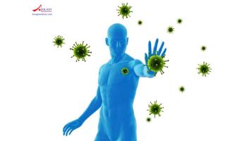 Top 15+ sản phẩm tăng cường miễn dịch - bảo vệ sức khỏe trước “cơn bão” Coronavirus