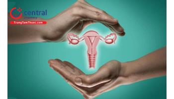 Sinh lý kinh nguyệt bình thường và một số bệnh liên quan đến nội tiết sinh sản ở nữ