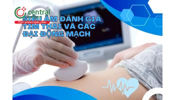 Hướng dẫn siêu âm đánh giá tim thai và cách đại động mạch 