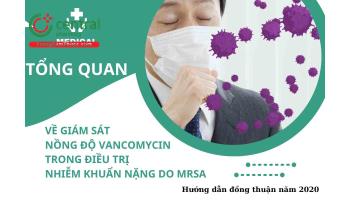 Tổng quan về giám sát nồng độ vancomycin trong điều trị nhiễm khuẩn nặng do MRSA