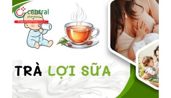 Top 6 trà lợi sữa tốt nhất cho mẹ sau sinh 2026