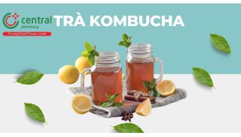 Trà Kombucha là gì? Lợi ích và tác hại khi sử dụng trà lên men Kombucha