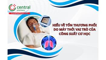 Hiểu về tổn thương phổi do máy thở: Vai trò của công suất cơ học