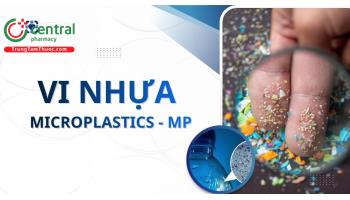 Vi nhựa trong cơ thể người có tác hại gì, có gây ung thư không?