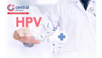 Quy trình xét nghiệm tầm soát Human Papollomavirus (virus HPV)