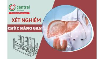 Ý nghĩa của các chỉ số trong phiếu xét nghiệm chức năng gan thường quy