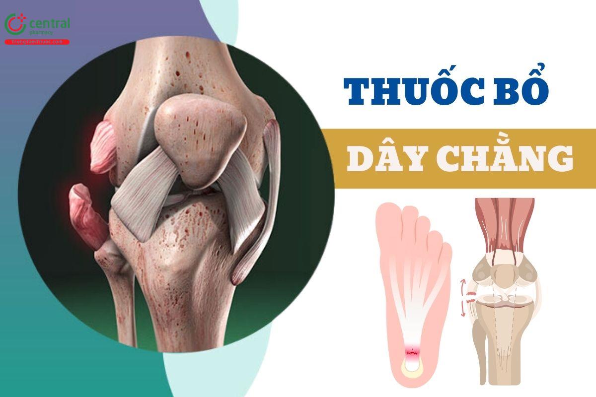 Thuốc bổ dây chằng giải pháp trong phục hồi tổn thương khớp, nuôi dưỡng gân cơ