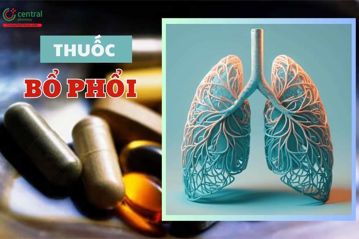 Thuốc bổ phổi nào tốt? Top 8 sản phẩm bổ phổi được tin dùng hàng đầu