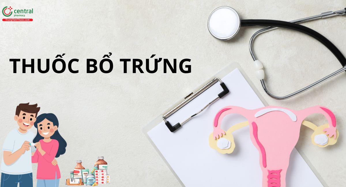 Thuốc bổ trứng tăng khả năng thụ thai thành công ở nữ giới