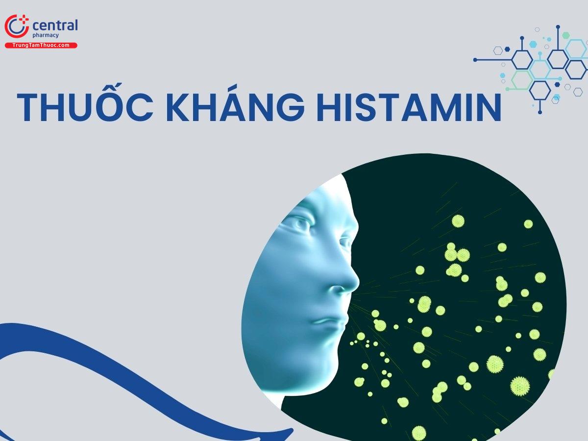 Thuốc kháng histamin: các nhóm thuốc và lựa chọn sử dụng thuốc hợp lý