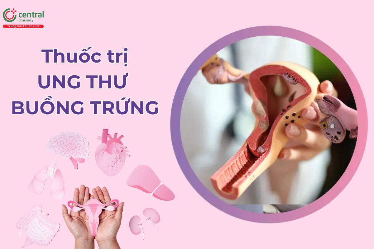 Phân loại thuốc điều trị ung thư buồng trứng theo phác đồ điều trị của Bộ Y tế và ESMO