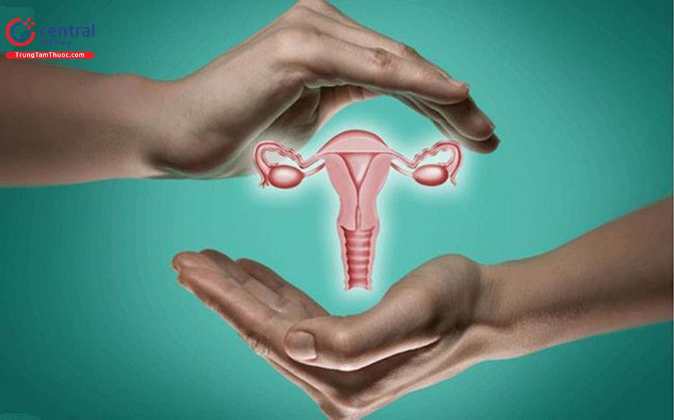 Sinh lý kinh nguyệt bình thường và một số bệnh liên quan đến nội tiết sinh sản ở nữ