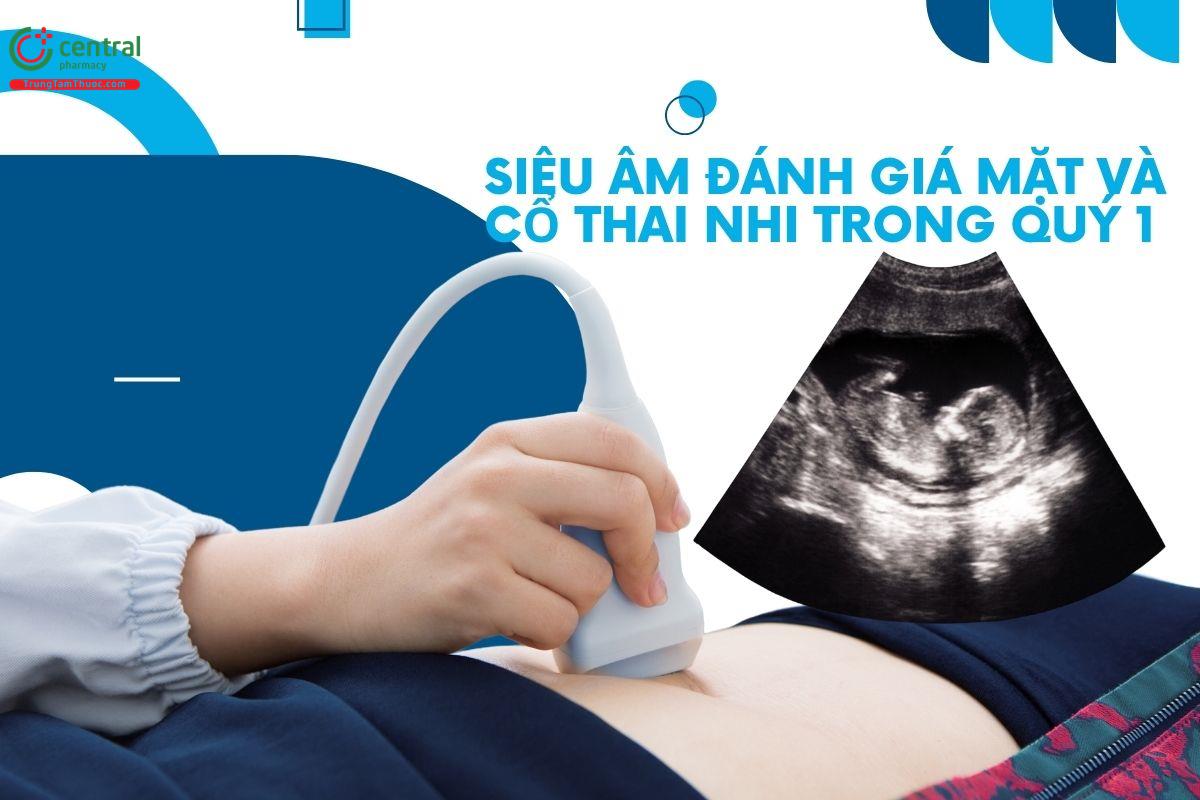 Tìm hiểu về siêu âm đánh giá mặt và cổ thai nhi ở tuổi thai nhỏ 