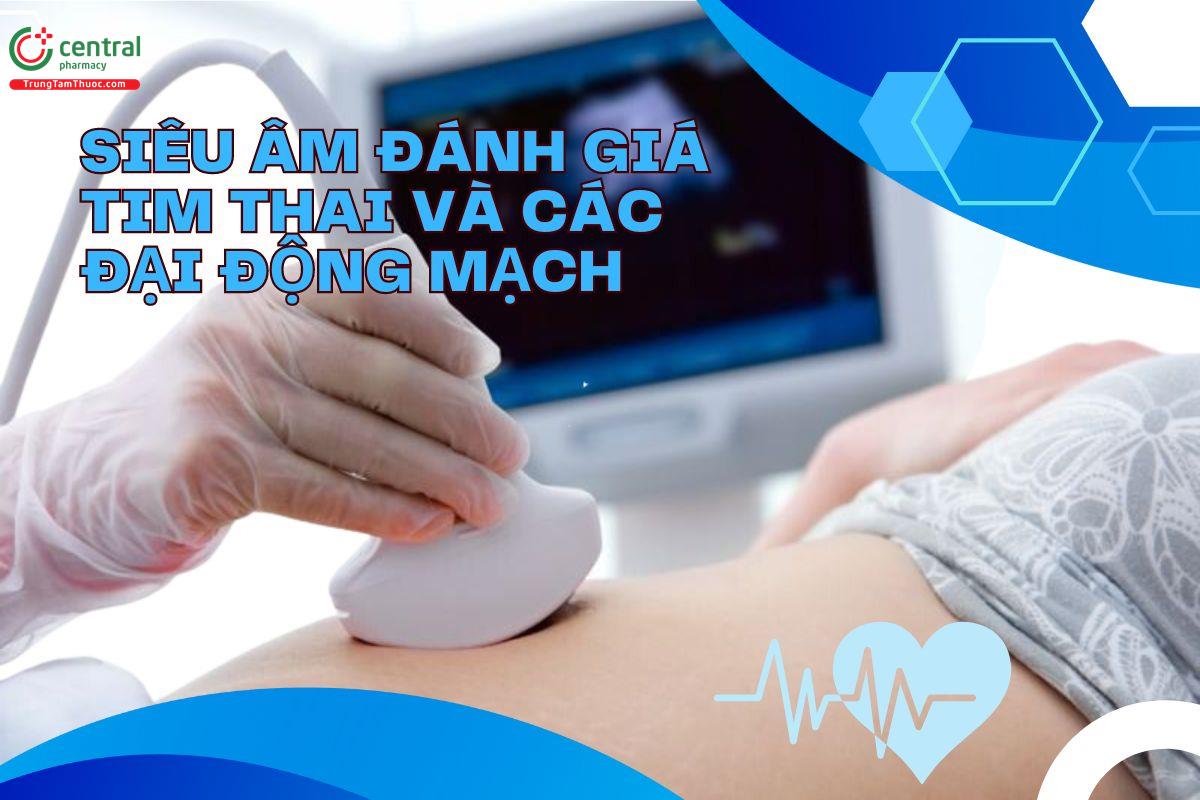 Hướng dẫn siêu âm đánh giá tim thai và cách đại động mạch 